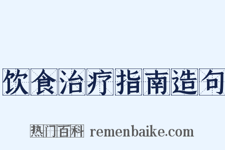 饮食治疗指南造句是什么意思的图片